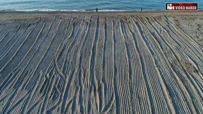 Caretta Caretta'ların yuva yaptığı sahil traktörlerle düzleştirildi