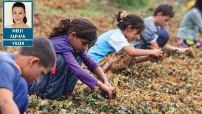 Acı ama gerçek... Ailelerin tek umudu: Çocuk işçiliği