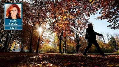 Sal gazları atmosfere, kavur gezegeni bir daha mı geleceğiz dünyaya