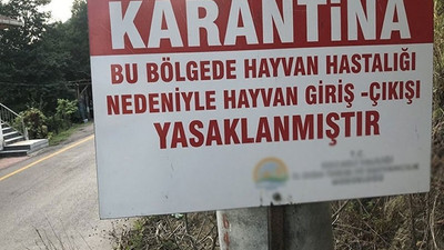 İzmir'de 20 mahalle ‘veba’ şüphesi ile karantinaya alındı