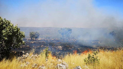 Bagok Dağı’nda başlayan yangın köylere ilerliyor