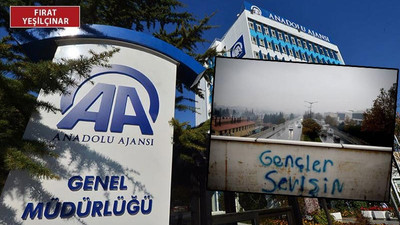 AA muhabiri 'Gençler sevişin' fotoğrafını paylaştığı için işten atılmış