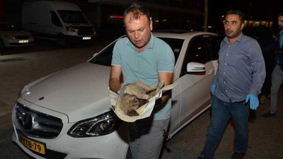 Yavru köpekleri kurtarmak için 80 km yol katetti