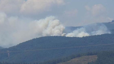 Bursa’da 6 farklı noktada yangın