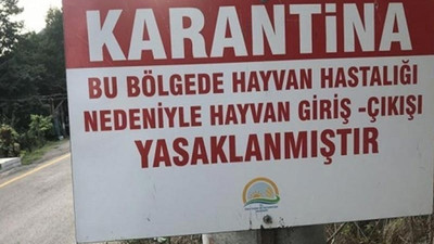 Genç Çiftçi Projesi çiftçiye vebalı hayvan veriyor