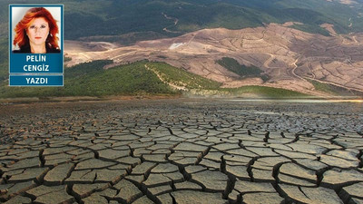 Kaz Dağları neden önemli, IPCC raporu anlatıyor: Arazi kullanımını değiştirin