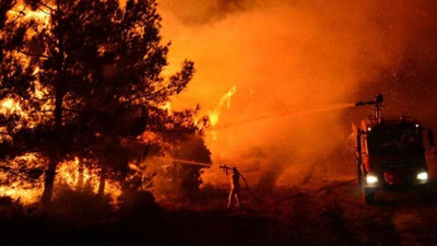 Marmara Adası'ndaki yangının şüphelisinin oğlu da gözaltına alındı