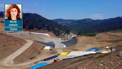 Efemçukuru Altın Madeni’ne karşı 10 yıllık mücadele: Yalnız Efe 3 kilo dosyayla AİHM’e gitti