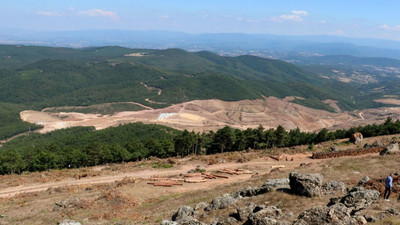 'Eskişehir'de 200 bine yakın ağaç kesilecek'