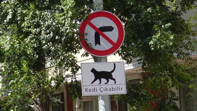 Sokaklara ‘Kedi Çıkabilir’ tabelaları astılar