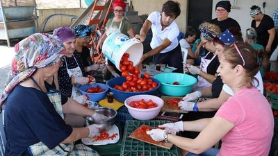 Kooperatif üyesi kadınlar, domates konservesiyle üretime başladı