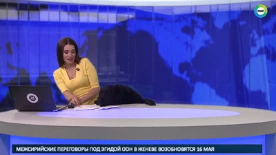 Rus televizyonunda köpek paniği