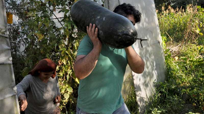 Salatalıkları 1 metre olunca paniğe kapıldı