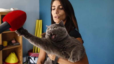 Obez kedi, egzersiz ile 4,5 kilo verdi