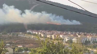 Pendik'teki orman yangınıyla ilgili bir kişi gözaltına alındı