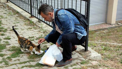 Besledikleri kedileri zehirlenerek öldürüldü: Dün ne kadar ağladığımı hatırlamıyorum