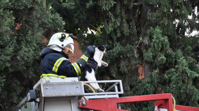 Köpekten kaçtığı ağaçta 2 gün mahsur kaldı