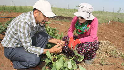 Kayyum kapattı, onlar vazgeçmedi