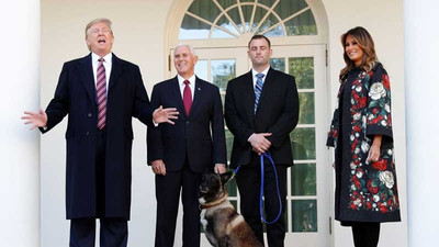 Trump, Bağdadi operasyonunda görev alan köpeğe plaket verdi