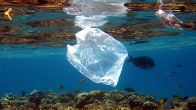 'Okyanuslarda balıktan çok plastik olacak'