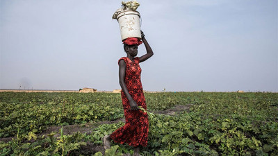 Çiftçisine destek ödeyemeyen Türkiye, Sudan’dan tarım ürünü alacak