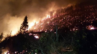 Karadeniz'de 47 noktada yangın: Evler yandı, tarım arazileri zarar gördü