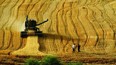 AKP'li vekil Tarım Bakanına seslendi: Duy diye söylüyorum, çiftçi geri gidiyor