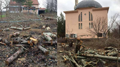 Tayini çıkan imam cami bahçesindeki ağaçları kesti