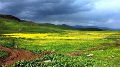 Hakkari’de 5 bölge giriş çıkışa yasaklandı