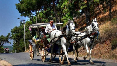 Adalar'daki at itlafı ve fayton sorunu yargıya taşındı