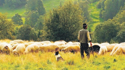 Trabzon'da orman yangınıyla ilgili Afgan çoban sınır dışı edildi