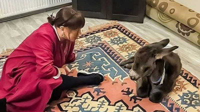 Sezen Aksu'dan 'Boza ve anası' paylaşımı