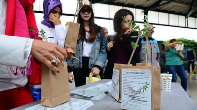 Haydarpaşa'da zeytin fidanı dağıtıldı