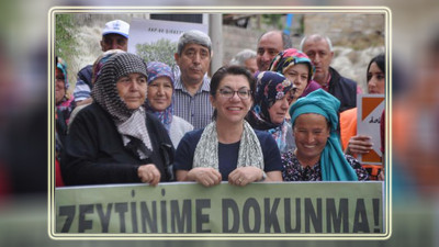 'Yasanız zeytinlerimize sökmez'