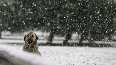 İstanbul'a kar geliyor