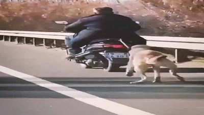 Köpeği motosikletinin arkasına bağlayıp koşturdu