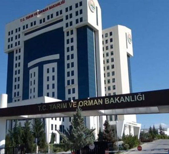 Bakanlıktan sekiz işletmeye 'şap' karantinası