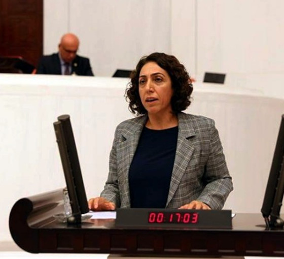 DEM Parti vekili Aydeniz’in başvurusuna AYM'den ihlal kararı: Tazminat ödenecek