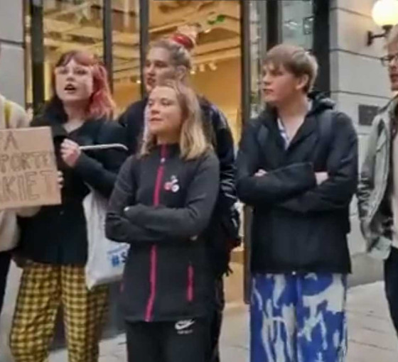 Greta Thunberg’den İsveç'teki Nagihan Akarsel eylemine destek