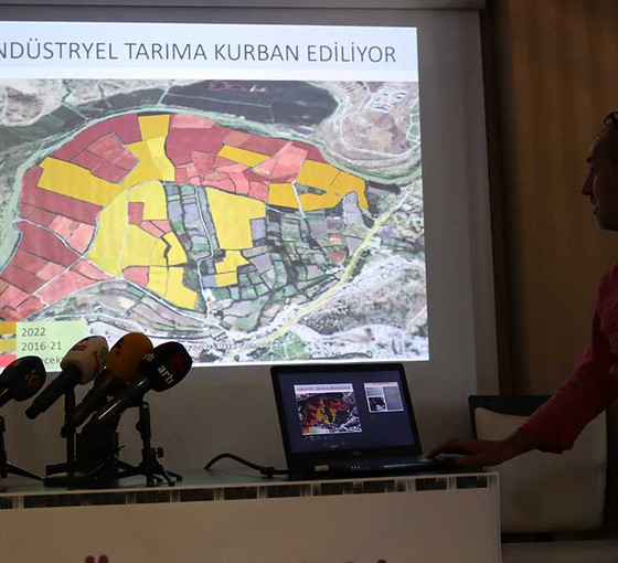 Hevsel Bahçeleri Raporu: Canlı türleri endüstriyel tarım riski altında