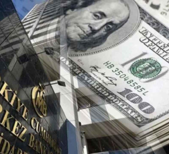 HSBC Başekonomisti Aksoy: Merkez 10 ayda 'arka kapıdan' 118 milyar dolar sattı