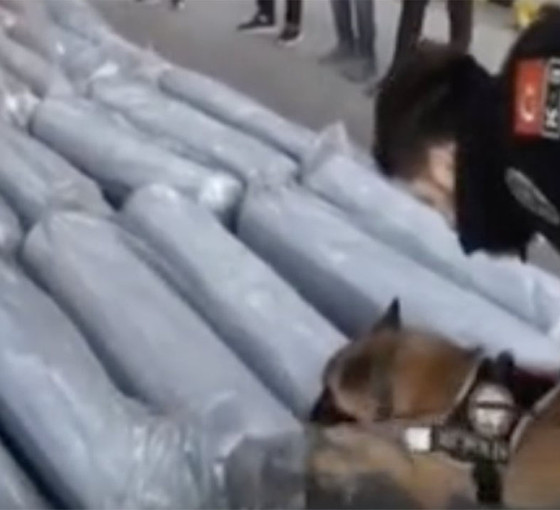 Meksika'dan Ambarlı'ya gelen gemide 1.5 ton uyuşturucu yakalandı