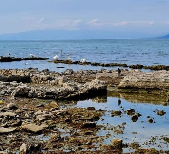 İznik Gölü'nü kuraklık vurdu: Batık bazilika kalıntısı ortaya çıktı