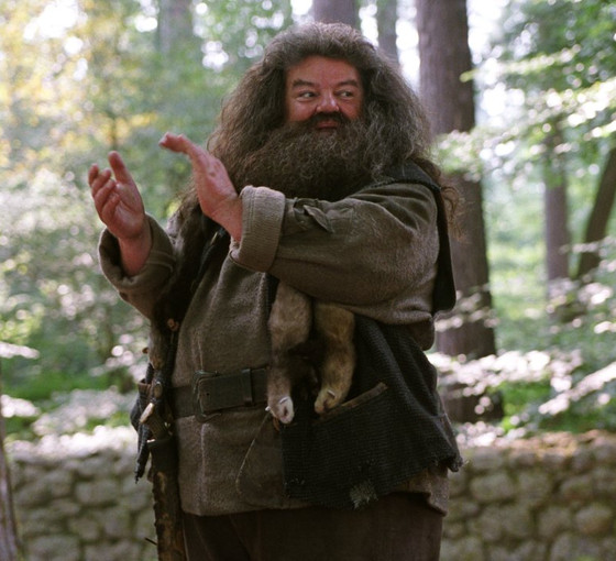 Harry Potter'ın 'Hagrid'i Robbie Coltrane, bu diyarı terk etti