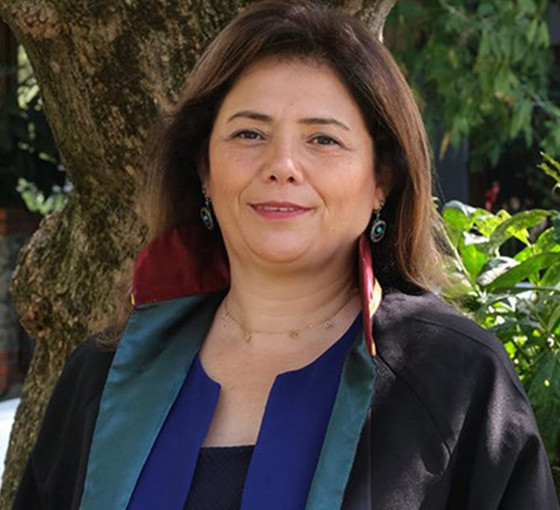 İstanbul Barosu'nun ilk kadın başkanı: Filiz Saraç