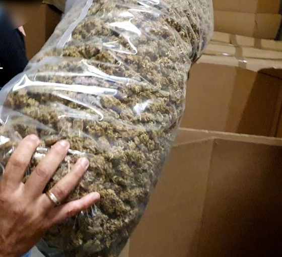 İspanya'da tarihin en büyük uyuşturucu operasyonu: 32 ton marijuana ele geçirildi