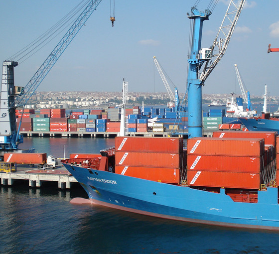 İstanbul Ambarlı Limanı'nda 22 kilo likit kokain ele geçirildi
