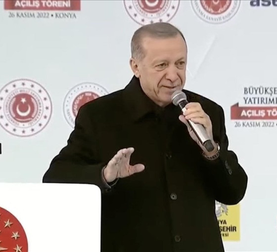 Erdoğan: Kimse hayvanlara eziyet edemez