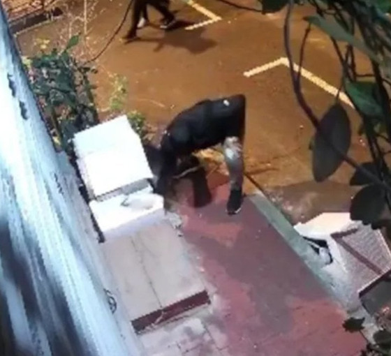 Fatih'te hayvana şiddet: İçinde kedi olan yuvayı parçaladı