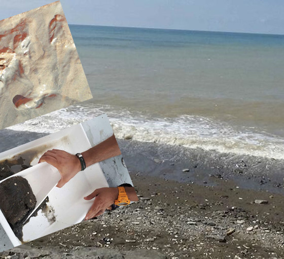Karadeniz'de 'ağır metal kirliliği' tehlikesi